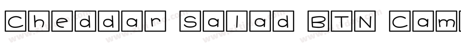 Cheddar Salad BTN Cameo SqRev字体转换
